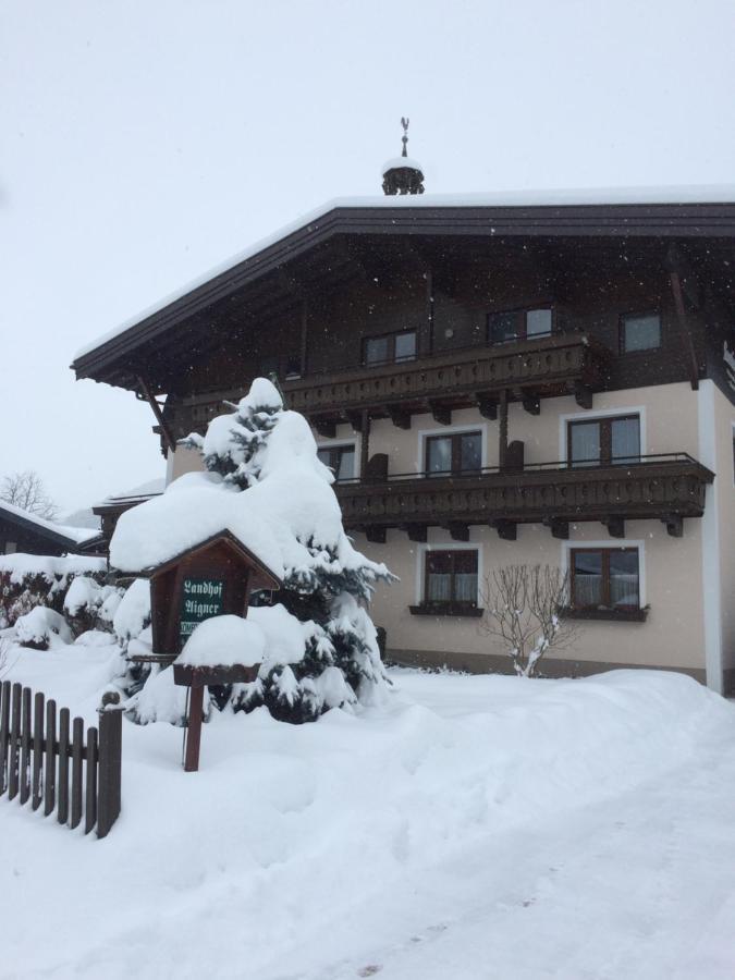 Hotel Landhof Aigner Mittersill Exterior foto